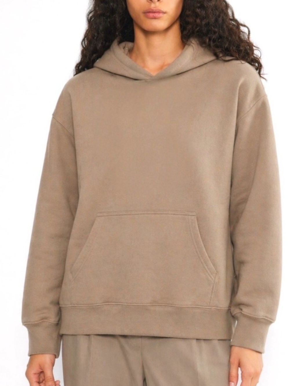 NWT Aritzia TNA chasm Perfect Hoodie